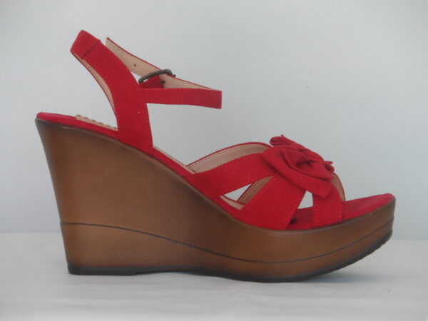 EN-1064 - Imagen 2