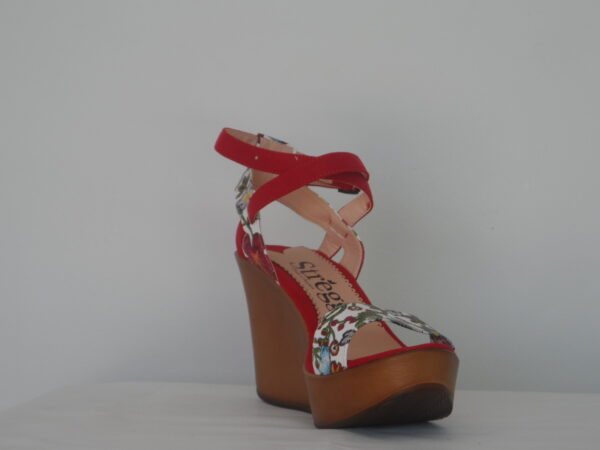 EN-1073 - Imagen 3