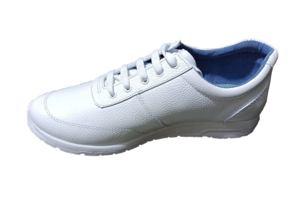 B-0041 - Imagen 2