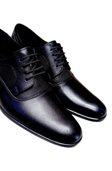 Zapato de Vestir Derby Clásico E-19 (FRA-515)